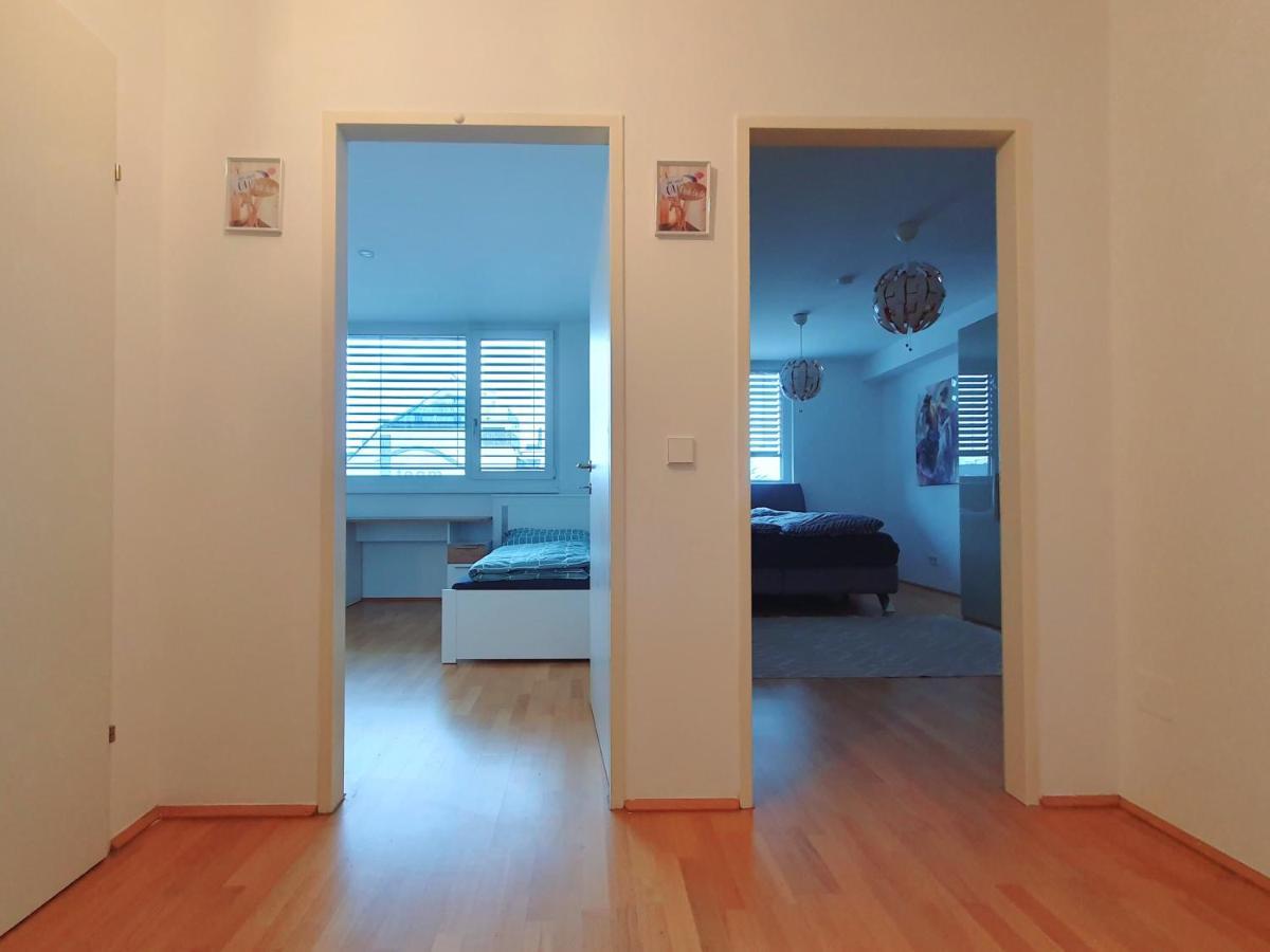 Near Lake Two Bedroom Duplex Apartment Viyana Dış mekan fotoğraf
